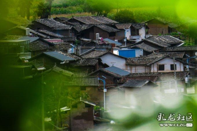 绿色猎人住宅逃生