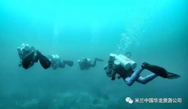 眼力大作战选关版